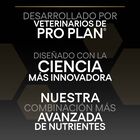 Pro Plan Medium Adult Sensitive OptiDerma Salmão ração para cães, , large image number null